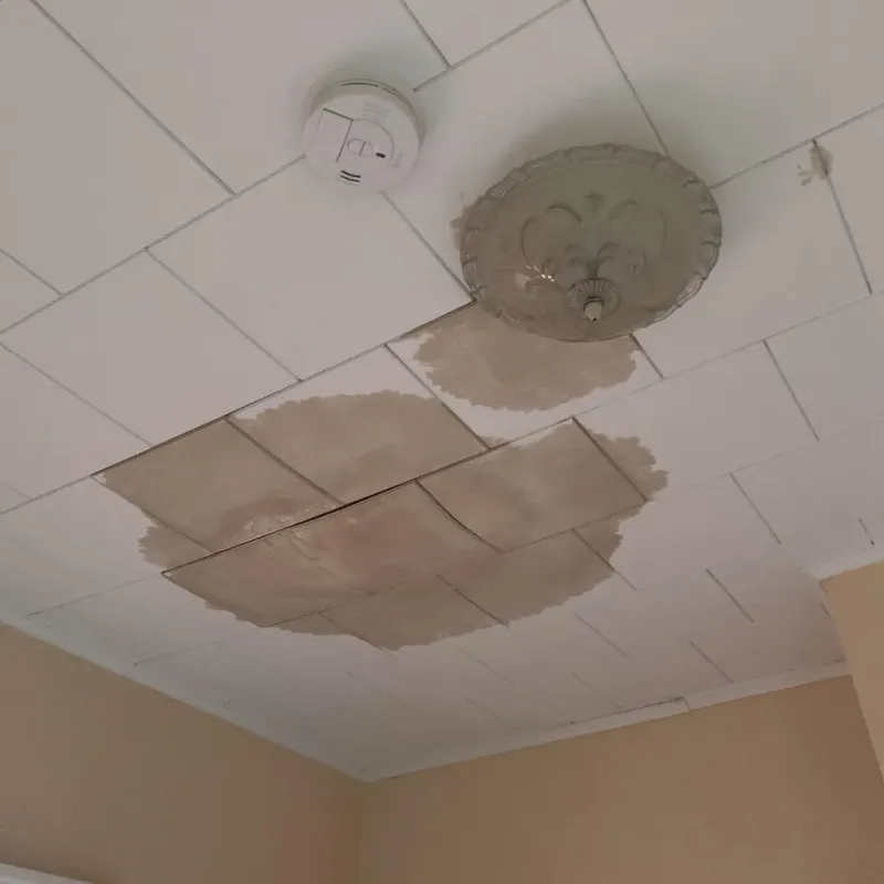 Ceiling Water Damage Repair in Spencer, IA