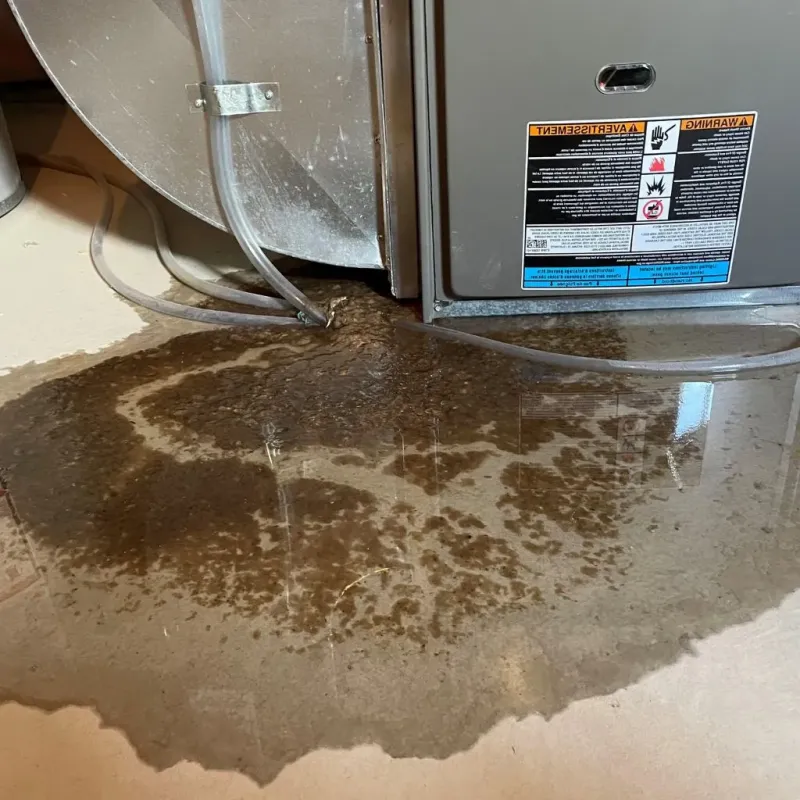 Pipe Burst and Leak Restoration in Spencer, IA