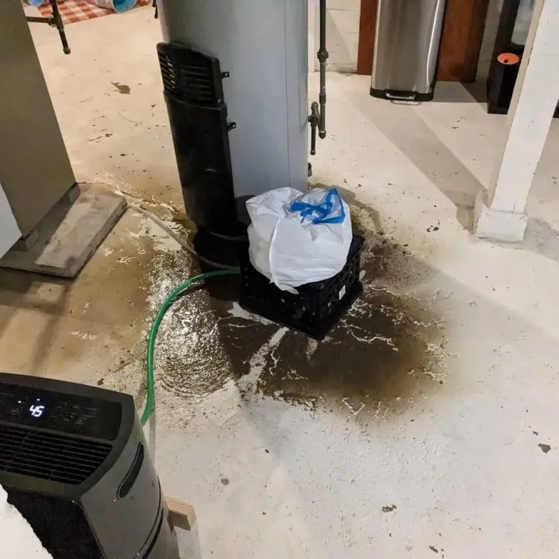 Sewage Backup Cleanup Service in Spencer, IA